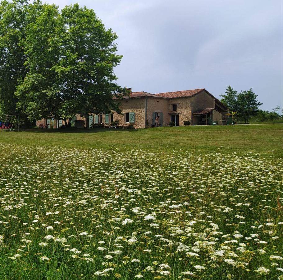 Le Haut Sechoir Buzet-sur-Baise Exterior photo
